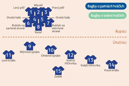 Pozice v rugby 15's